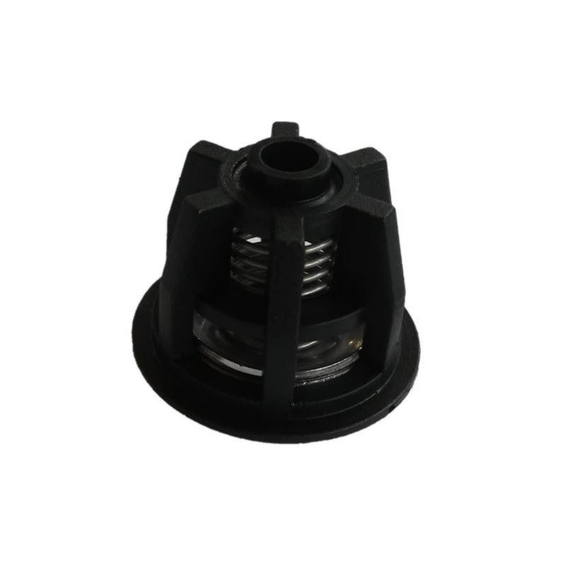 C349783 CLAPET POMPE EQ TECNOMA