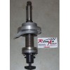 TECNOMA LIGNE D'ARBRE 35CV 57700