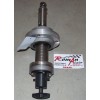 TECNOMA LIGNE D'ARBRE 35CV 57700