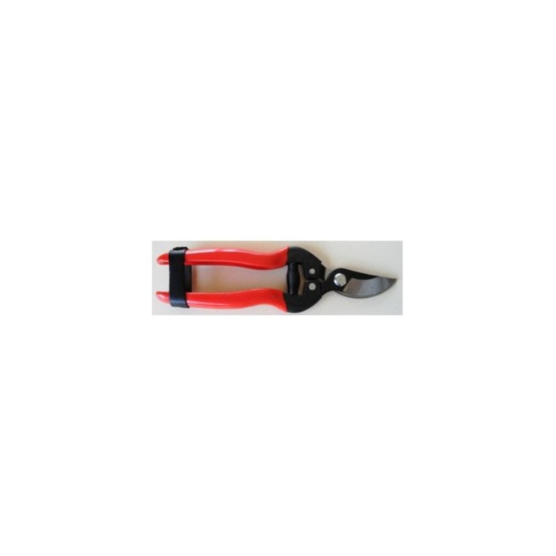 EPINETTE SECATEUR VIGNERON