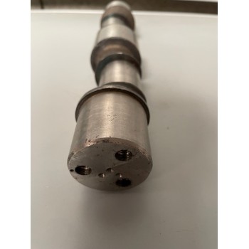 TECNOMA VILEBREQUIN 32877