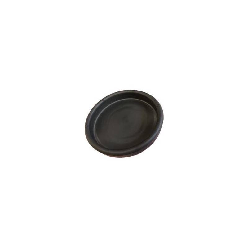 MEMBRANE POMPE 46350