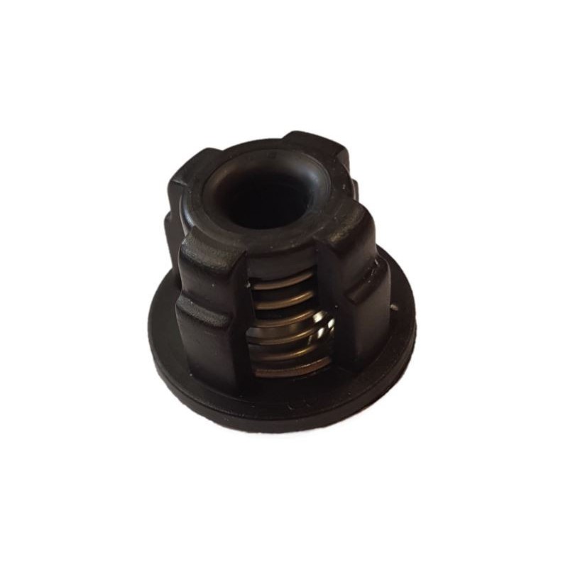 TECNOMA VALVE COMPLETE 89812