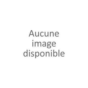 LANCE TELESCOPIQUE