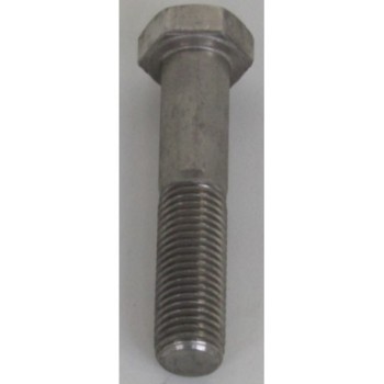VIS H M20X100 INOX