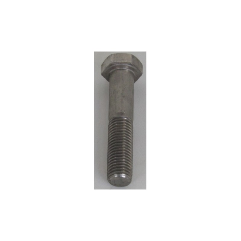 VIS H M20X100 INOX