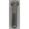 VIS H M20X100 INOX