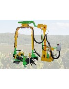 epampreuse vigne